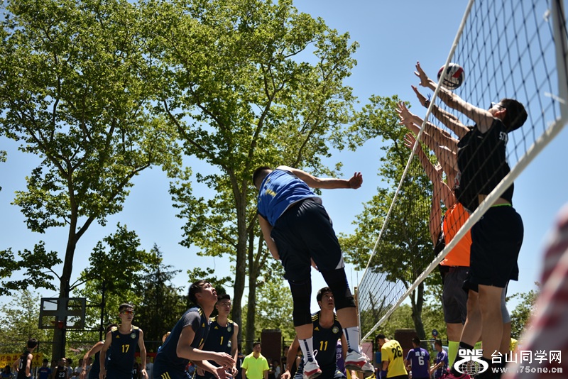DSC_4386.JPG