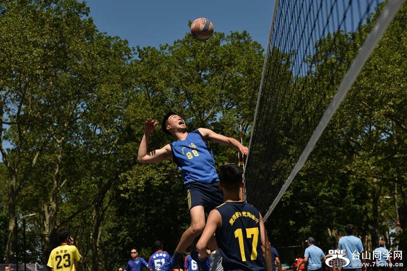 DSC_4146.JPG