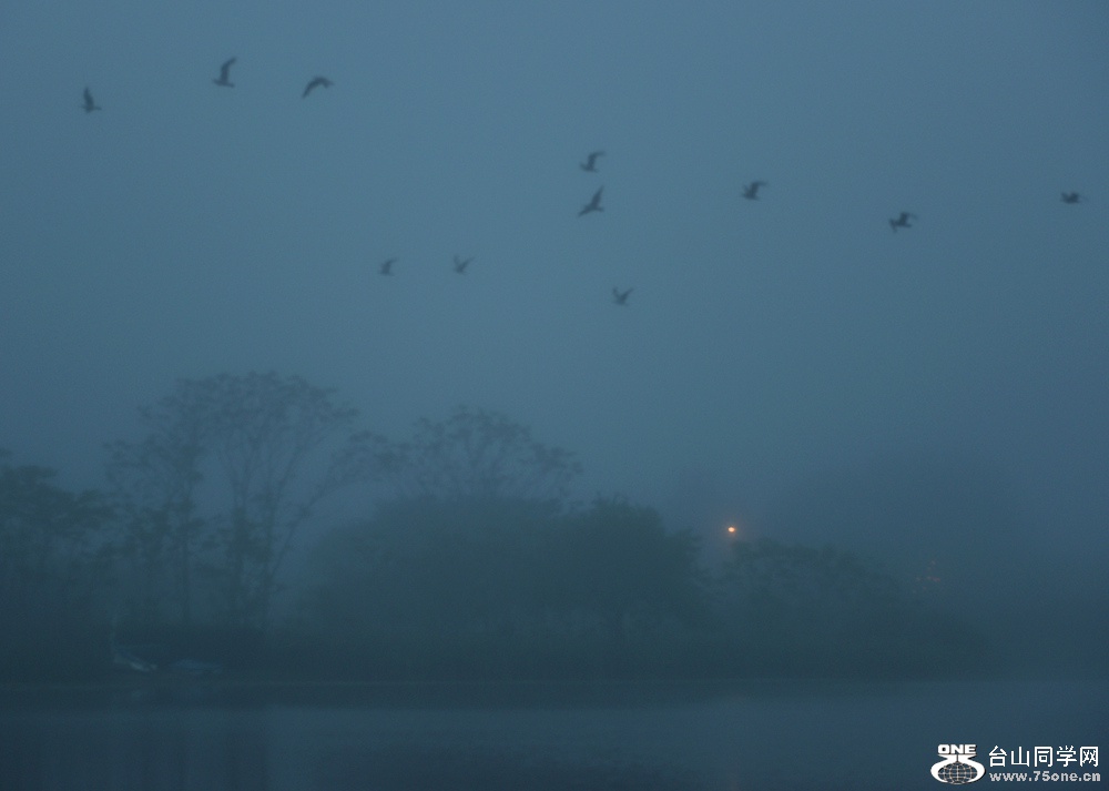 DSC_3263_.jpg