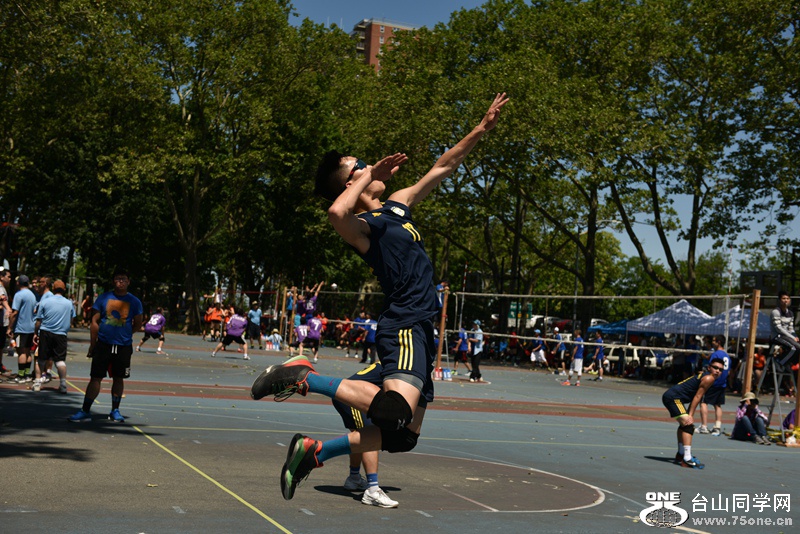 DSC_4302.JPG