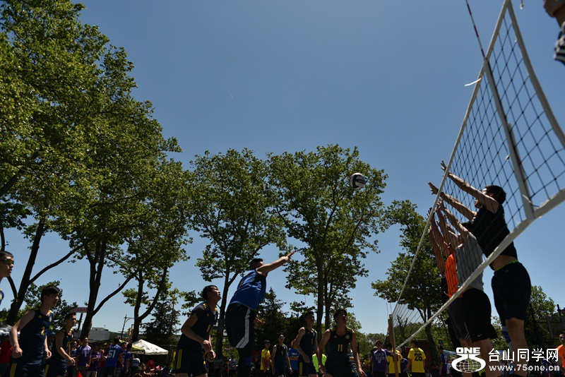 DSC_4343.JPG