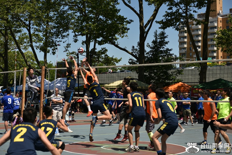 DSC_4289.JPG