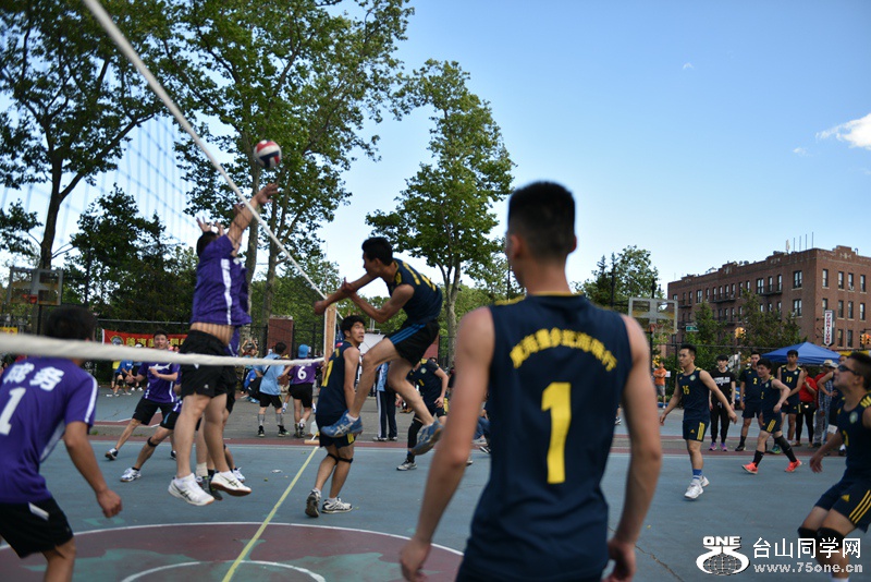 DSC_4799.JPG