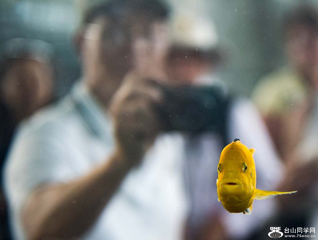 422.jpg