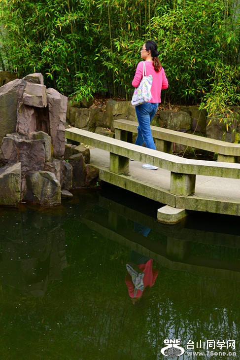 DSC_2441_.jpg