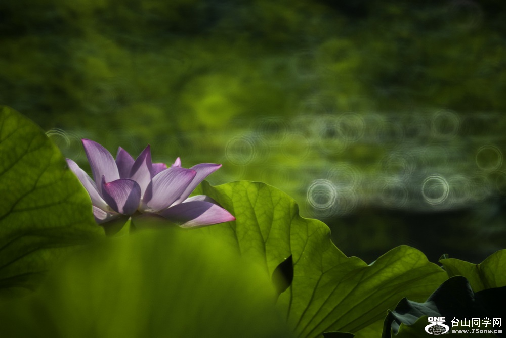 _DSC5260_С.jpg