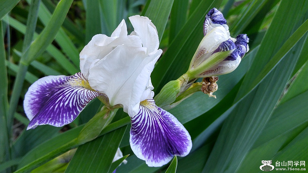 20160613_084453_HDR.jpg