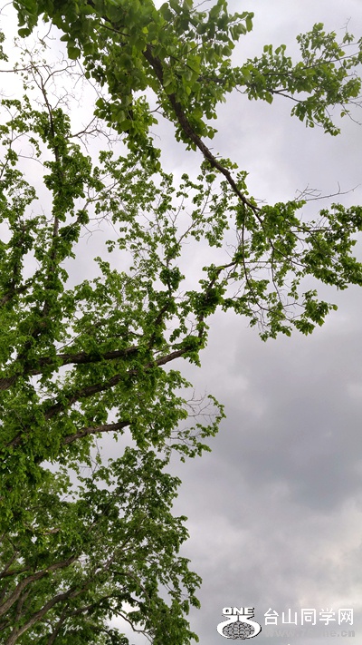 20160525_181328_HDR.jpg
