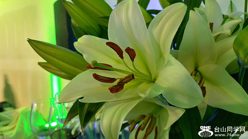 20160525_193312_HDR.jpg