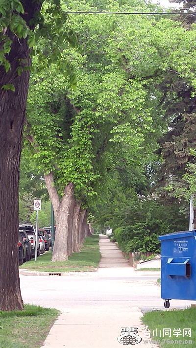 20160525_194454_HDR.jpg