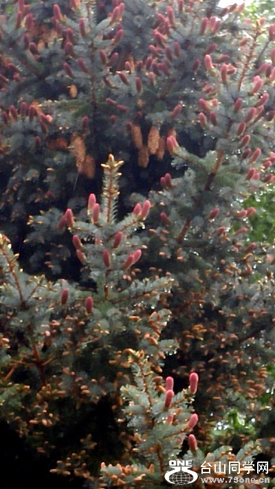 20160524_190024_HDR.jpg