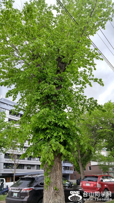 20160525_181433_HDR.jpg