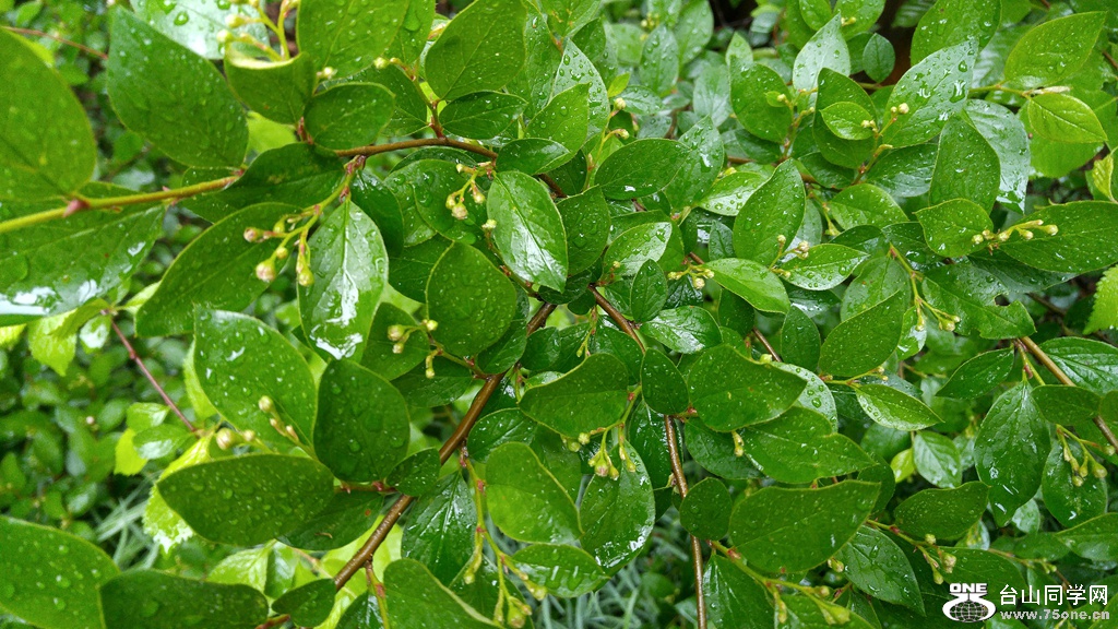 20160524_190051_HDR.jpg