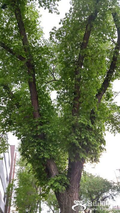 20160525_181529_HDR.jpg