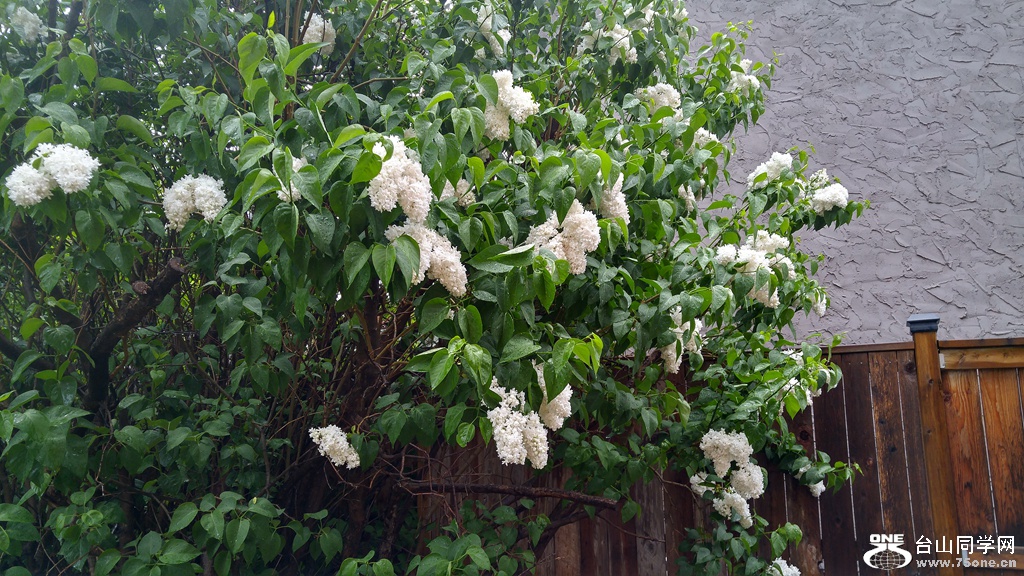 20160524_190200_HDR.jpg