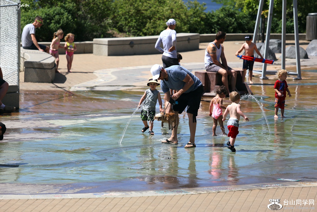 IMG_8864.JPG