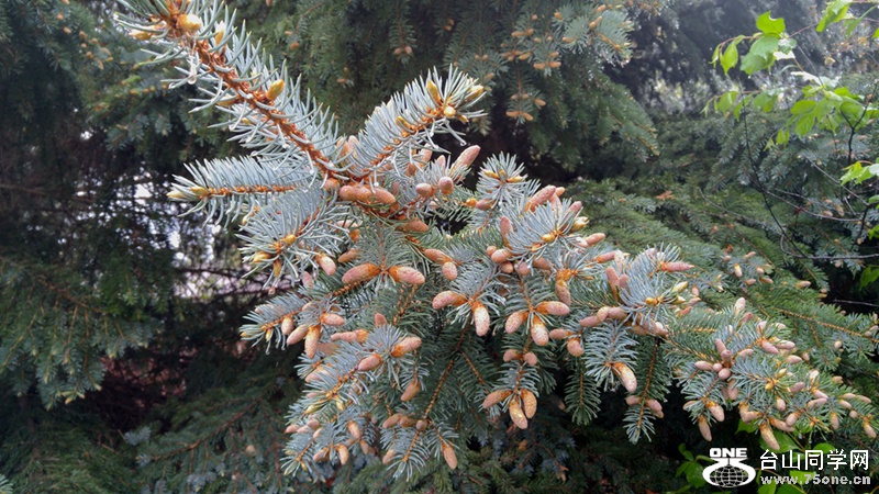 20160524_190044_HDR.jpg