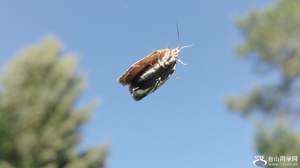 20160613_083551_HDR.jpg