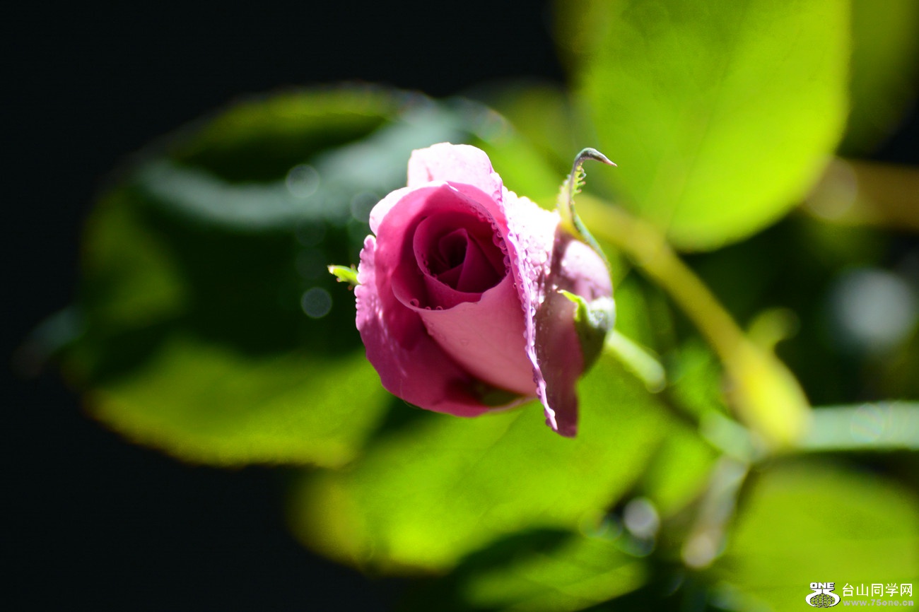 DSC_8741_32.jpg
