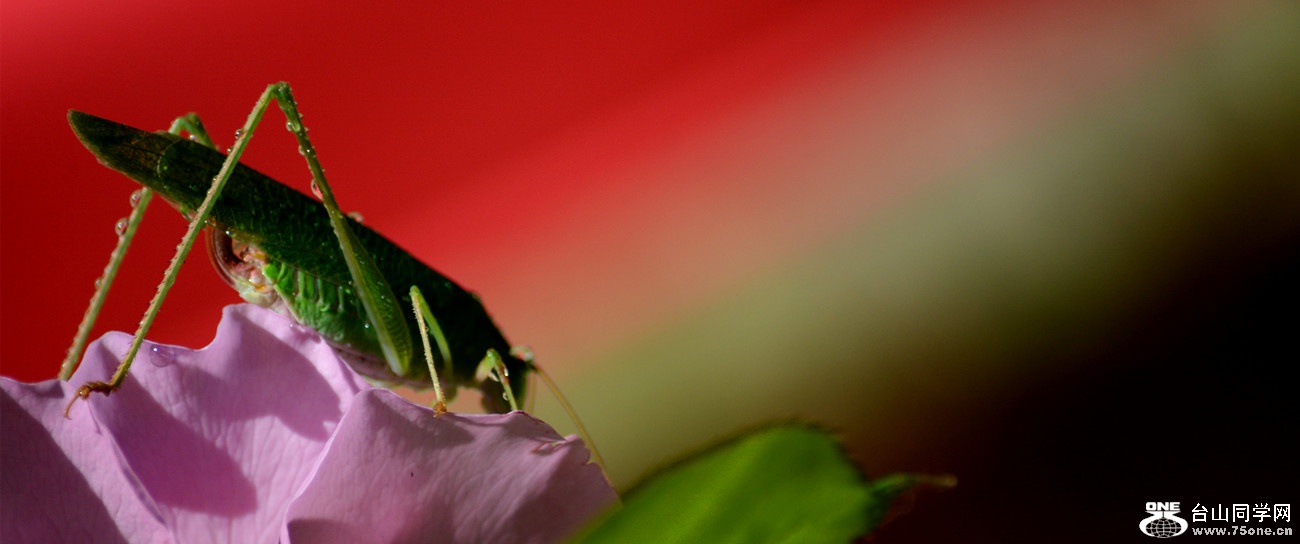 DSC_9080_53.jpg