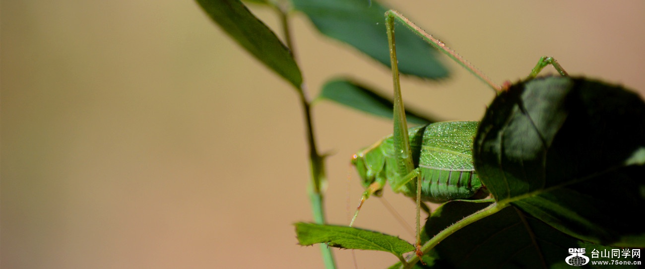 DSC_8857_46.jpg