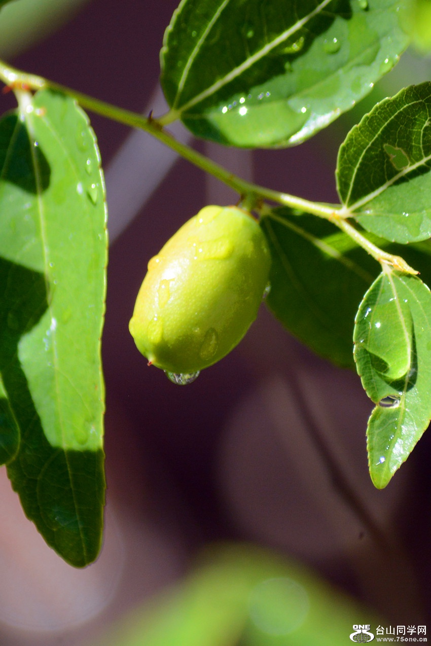 DSC_8150_53.jpg