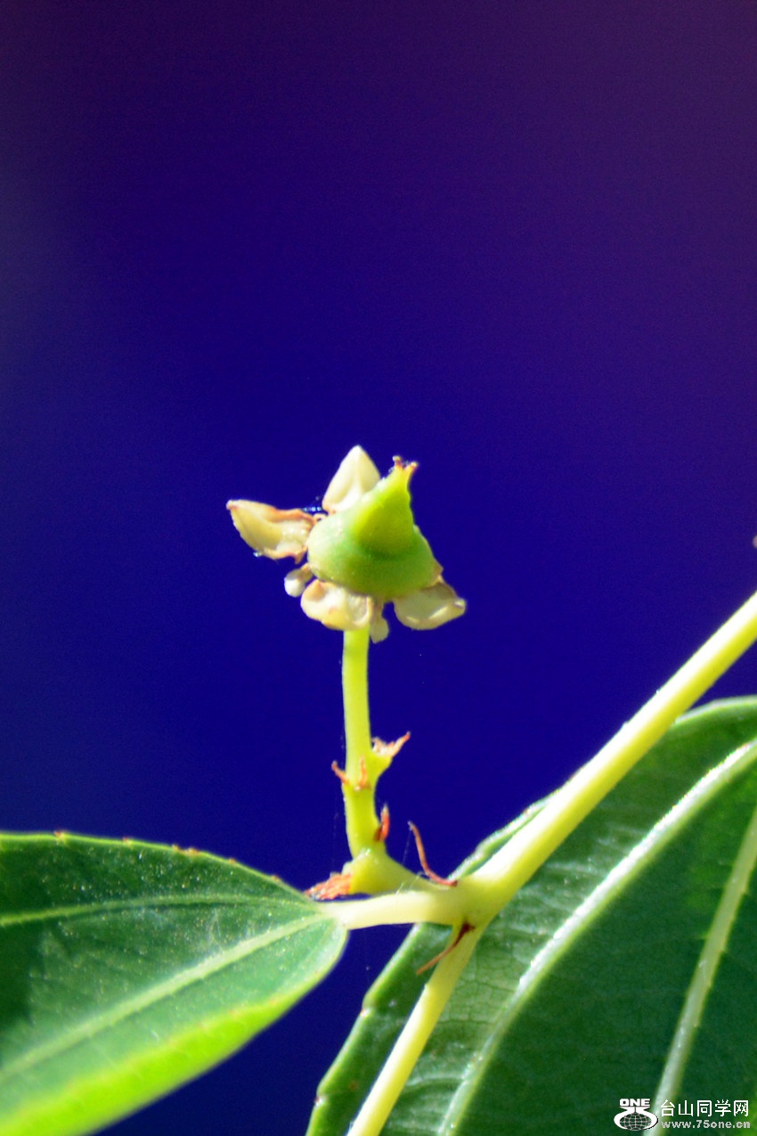 DSC_8200_44.jpg