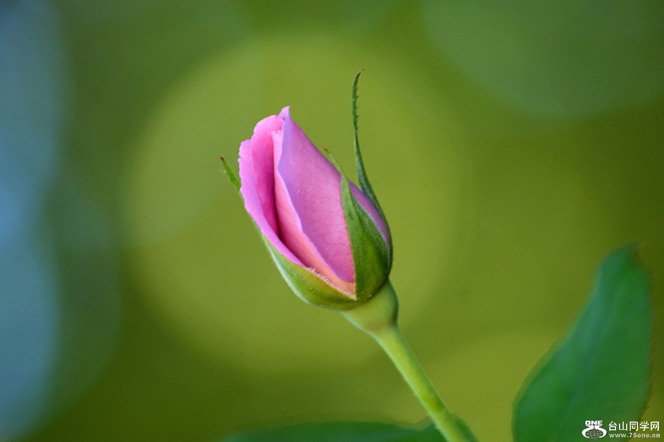 DSC_8674_19.jpg