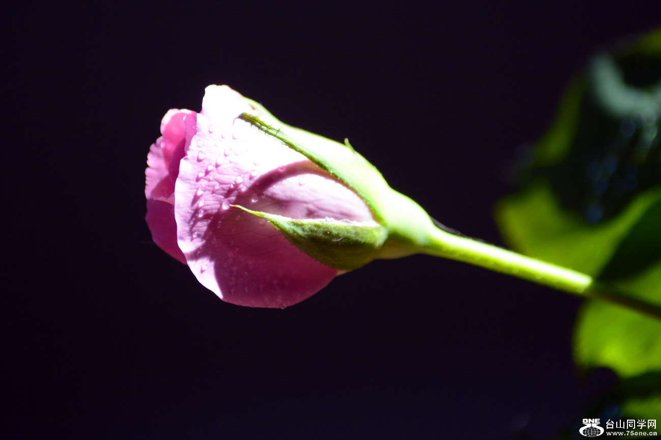 DSC_8746_29.jpg