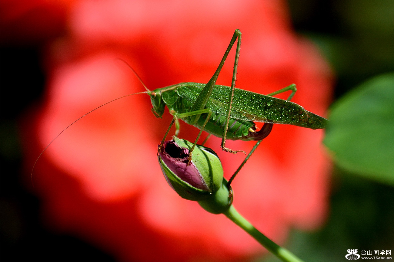 DSC_9178_3.jpg
