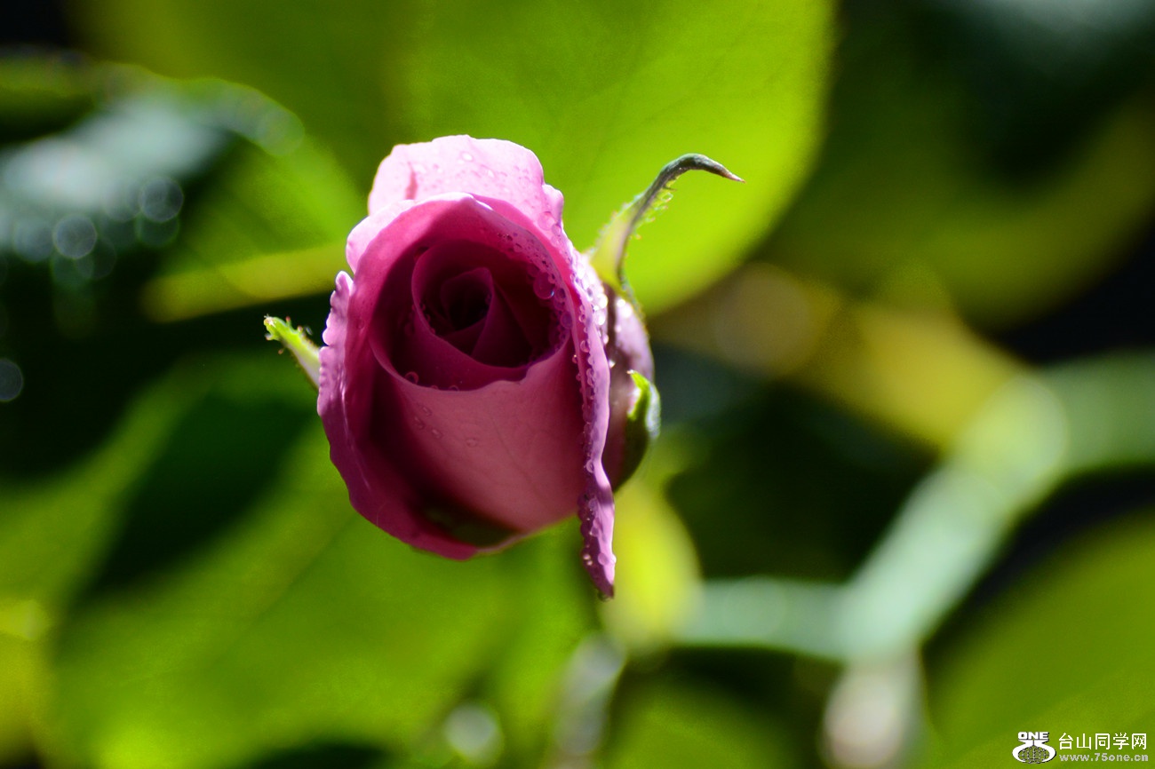 DSC_8744_30.jpg