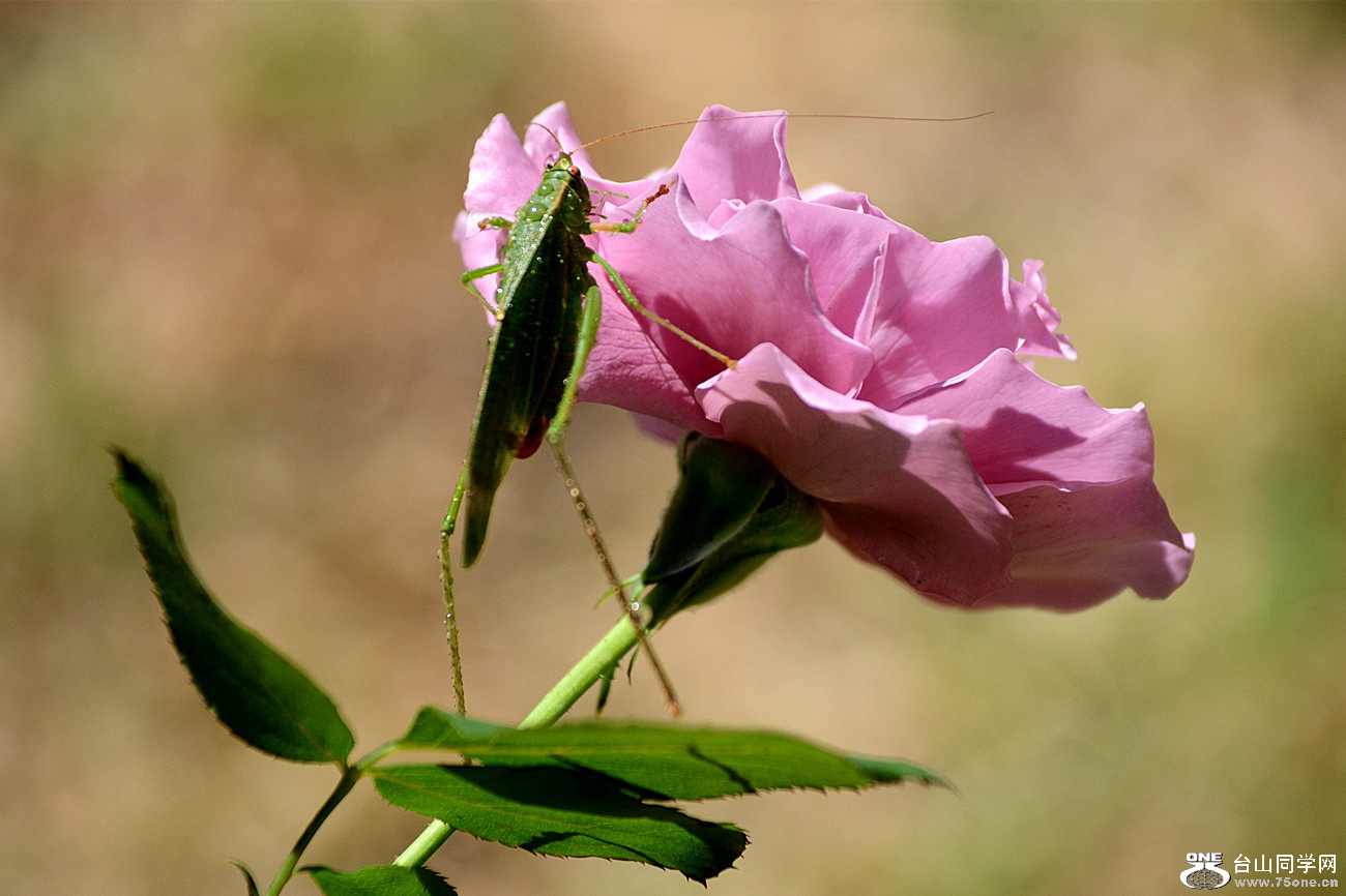 DSC_9051_20.jpg