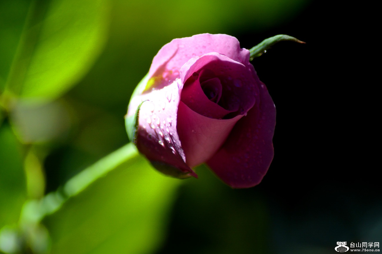 DSC_8751_26.jpg