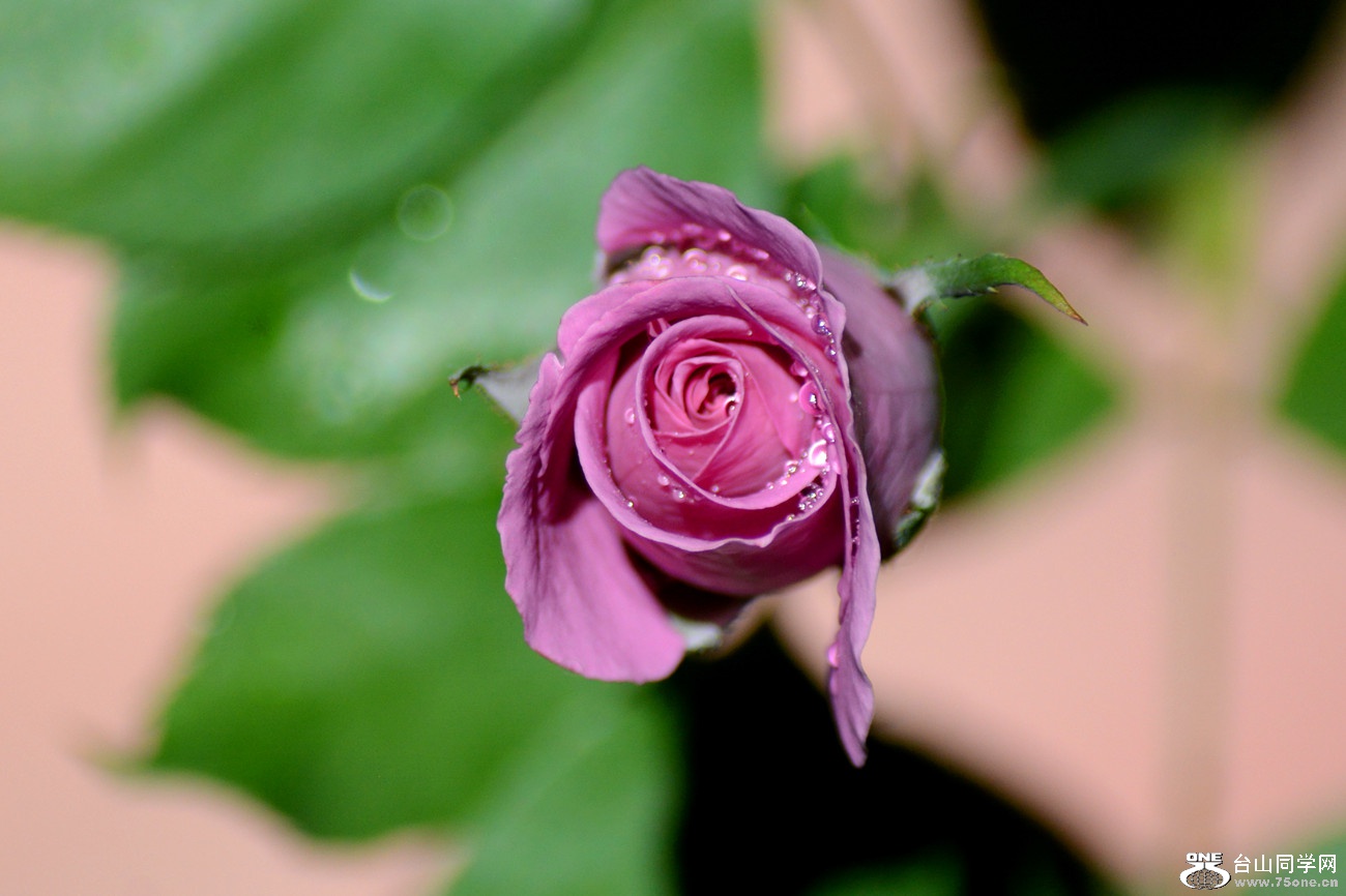 DSC_8789_20.jpg