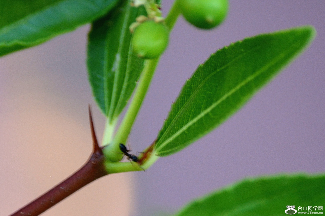 DSC_8488_18.jpg