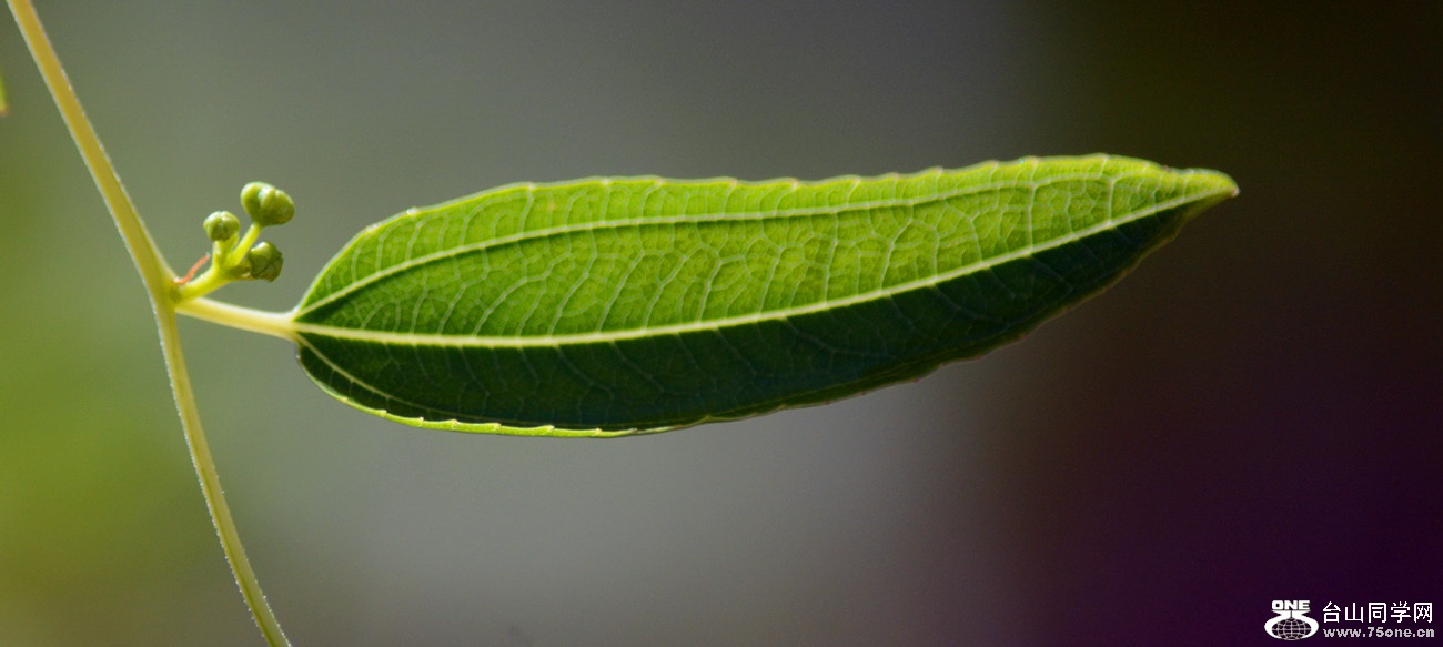 DSC_8295_30.jpg
