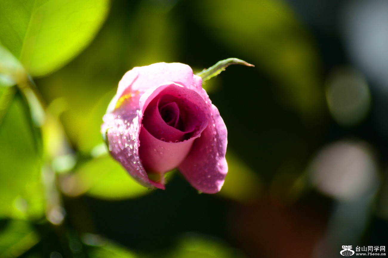 DSC_8736_34.jpg