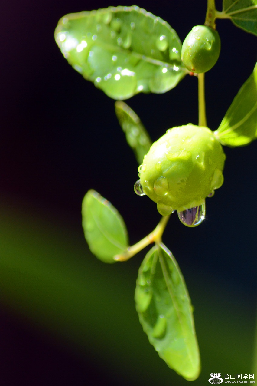 DSC_8070_57.jpg