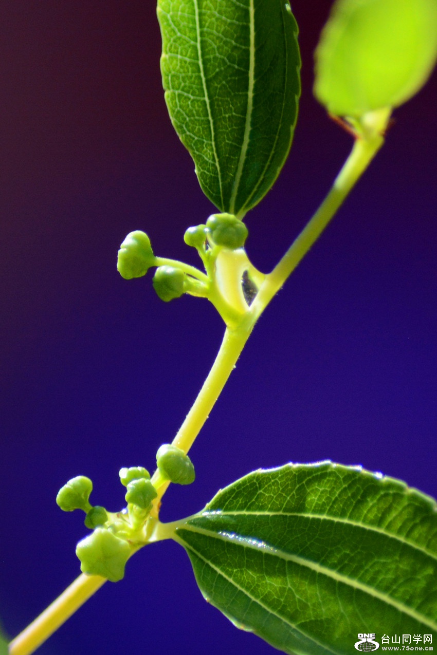 DSC_8166_48.jpg