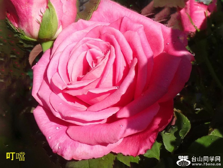 DSC05451b_1.jpg