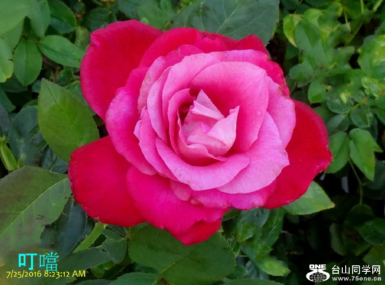 DSC05750ab_1.jpg