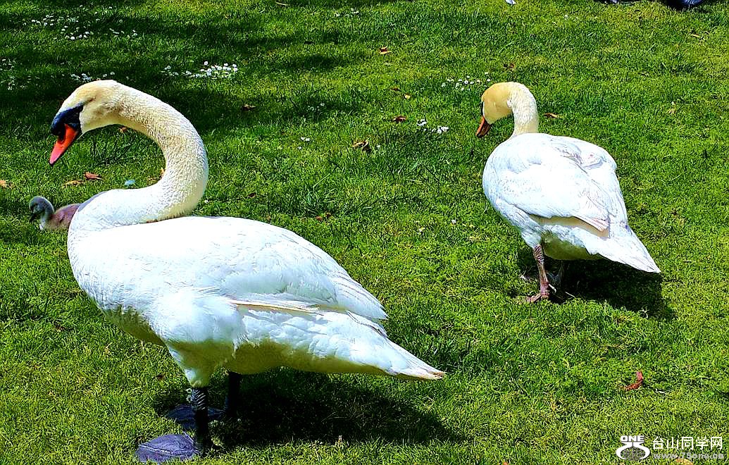 20160519_143626.jpg
