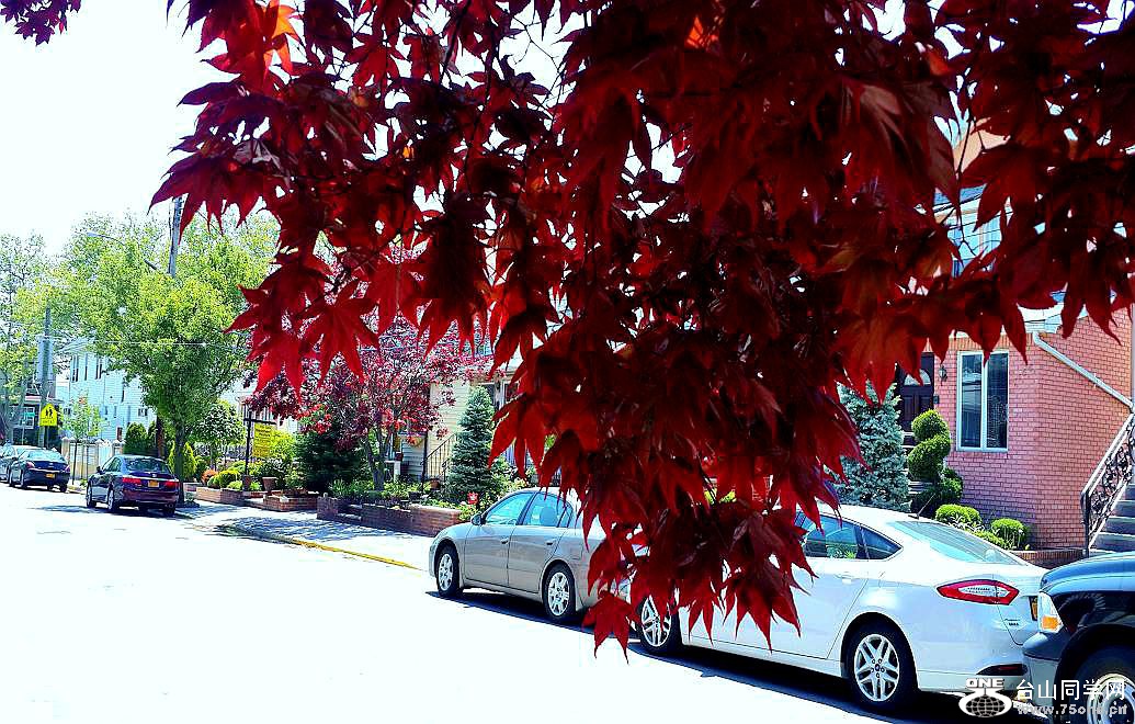 20160512_122938.jpg
