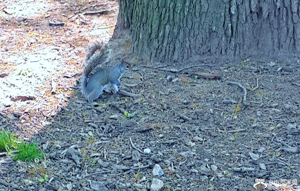 20160512_115941.jpg