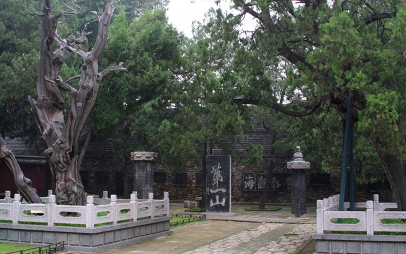 DSC_3238.jpg