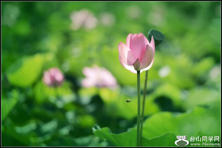DSC_3848.JPG