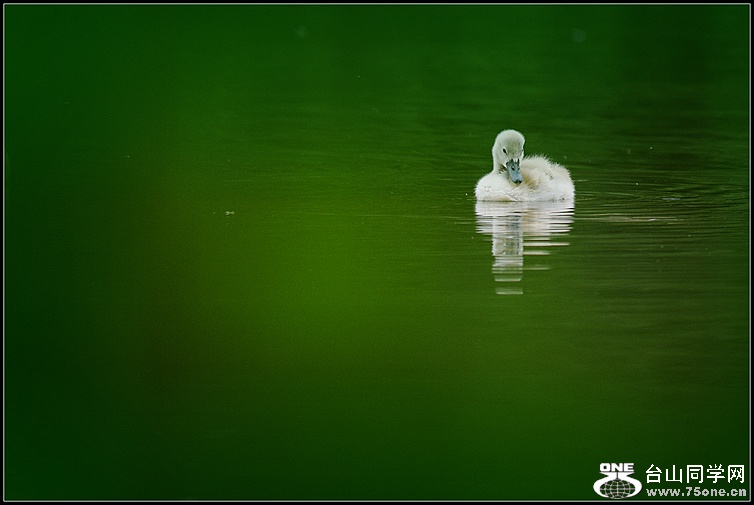 DSC_2416.JPG