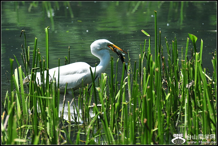 DSC_6747.JPG