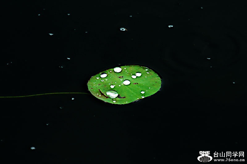 DPP_201.4.8-40695.JPG