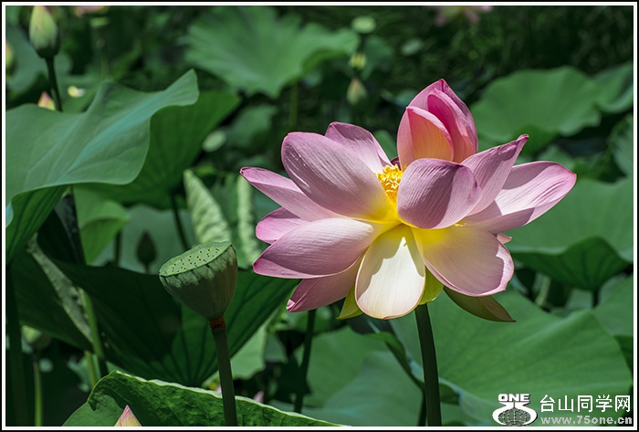 _DSC9008.jpg